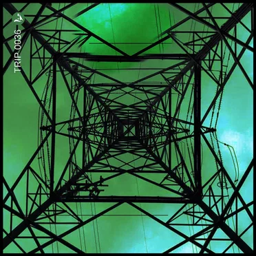 The Idiot by Glass Roots - album cover