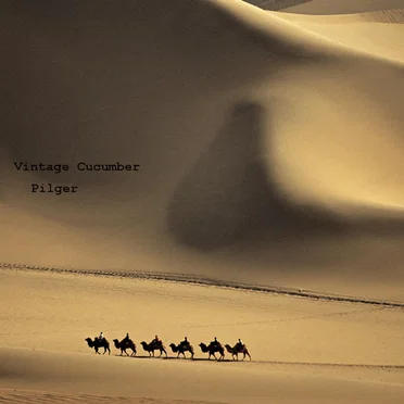 Pilger by Vintage Cucumber - album cover