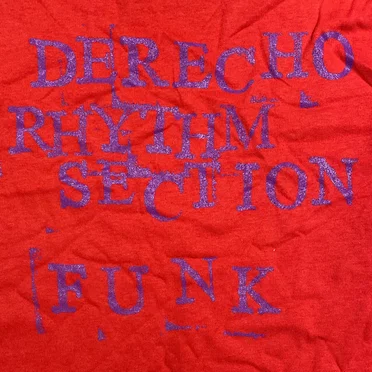 Want It Back / Rent by Derecho Rhythm Section - album cover