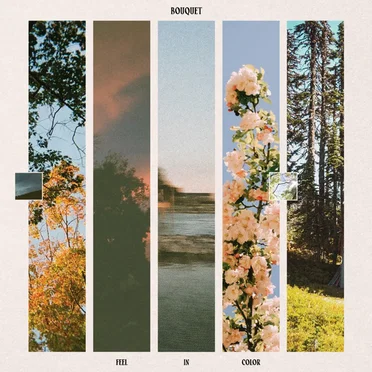 Feel In Color by Bouquet - album cover