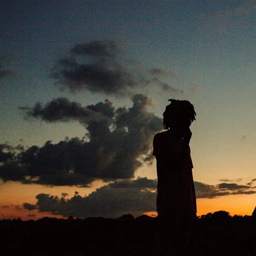 Sunsets & Silhouettes