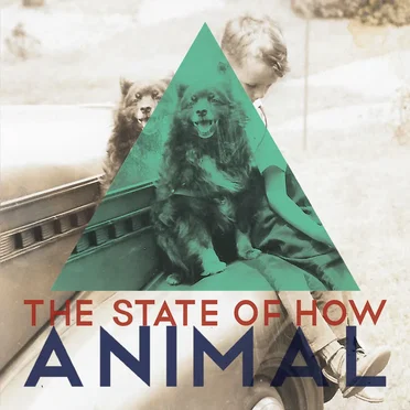 The State of How