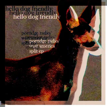Hello Dog Friendly by Porridge Radio - album cover