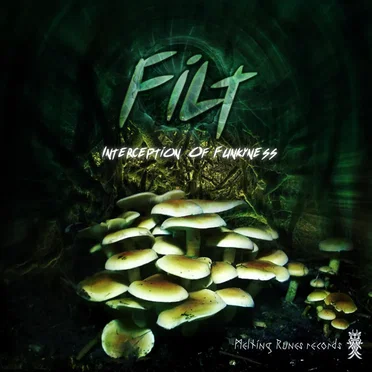 Filt