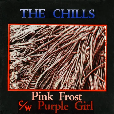 Pink Frost / Purple Girl