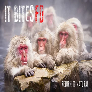 Return to Natural by It Bites FD - album cover