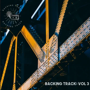 Vol.3