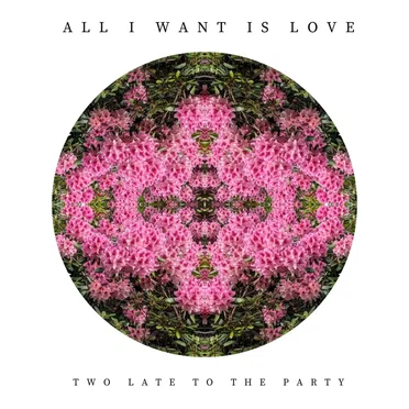 All I Want Is Love