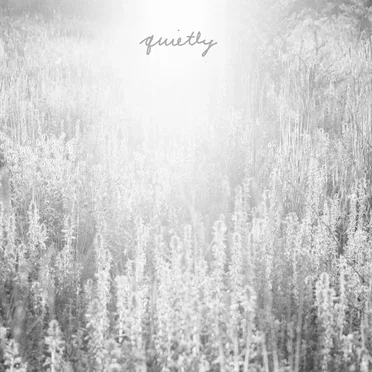 Quietly by Mouth of the Architect - album cover