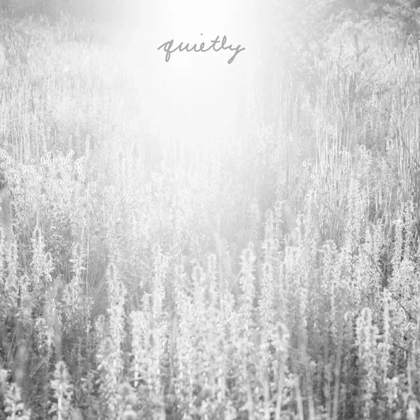 Quietly