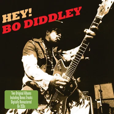 'Hey Bo Diddley'