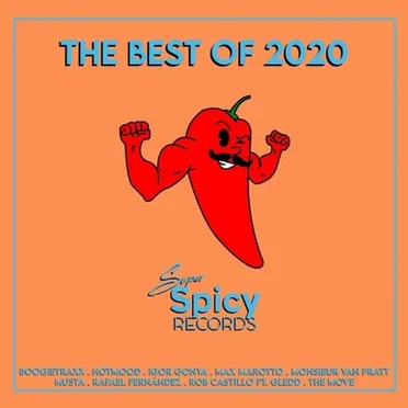 The Best Of 2020 by Various Artists - album cover