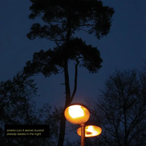 Already Awake in the Night