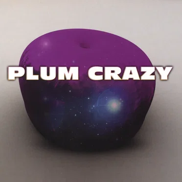 Plum Crazy by Plum Crazy - album cover