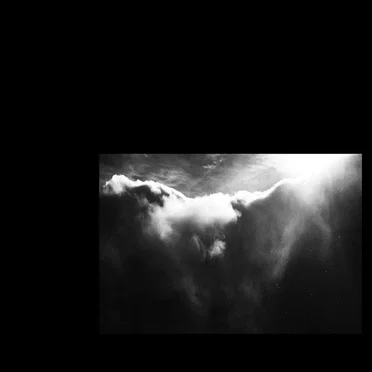 grey veil
