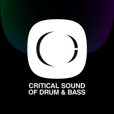Critical Sound of Drum & Bass by Various Artists - album cover