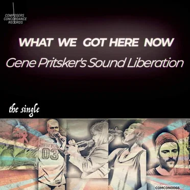 What We Got Here Now by Sound Liberation - album cover