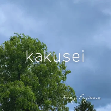 kakusei by Kenji Fujiwara - album cover
