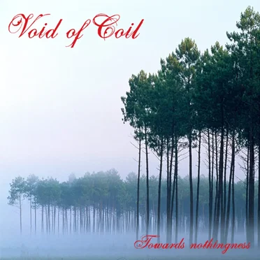 Towards Nothingness by Void of Coil - album cover