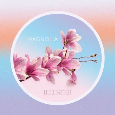 Magnolia by Illuster - album cover