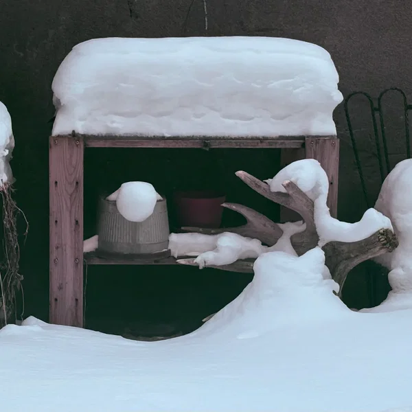 Another Love Song for Winter