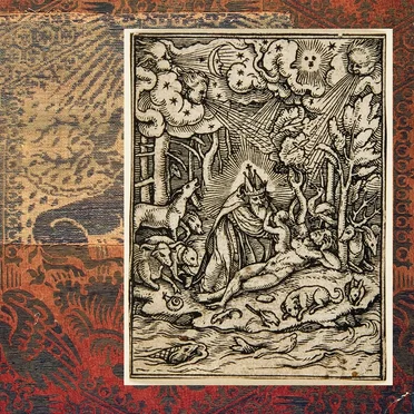 The Creation