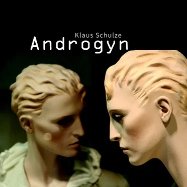 Androgyn