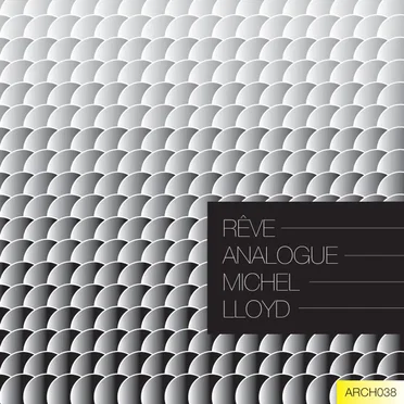 Reve Analogue by Michel Lloyd - album cover