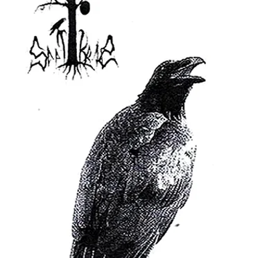 On the Forgotten Paths of the Ravenlands by Saatkrähe - album cover