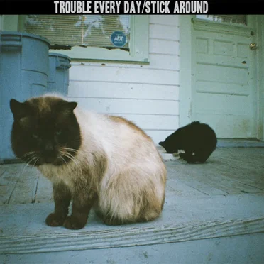 Stick Around