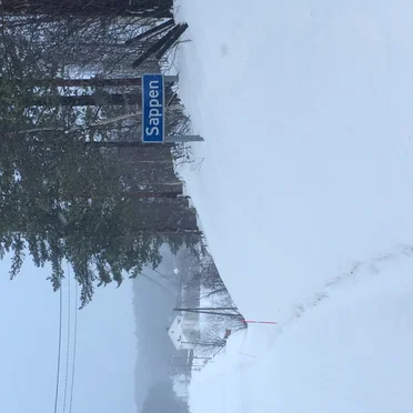 Sappen