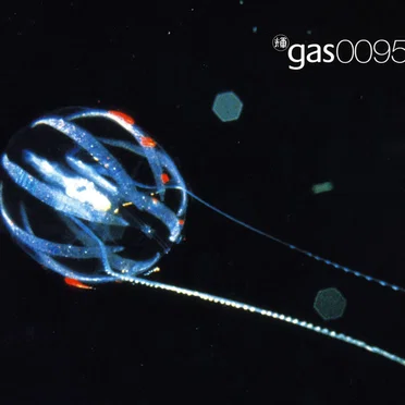 Gas 0095 by Gas - album cover