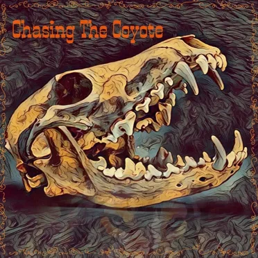 Chasing the Coyote