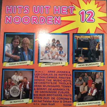 Hits uit het Noorden, 12 by Various Artists - album cover