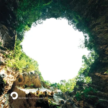 Against a Dark Background