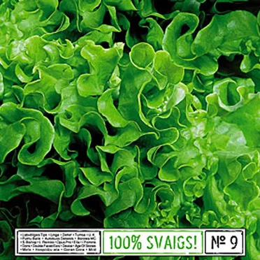 100% svaigs! № 9 by Various Artists - album cover
