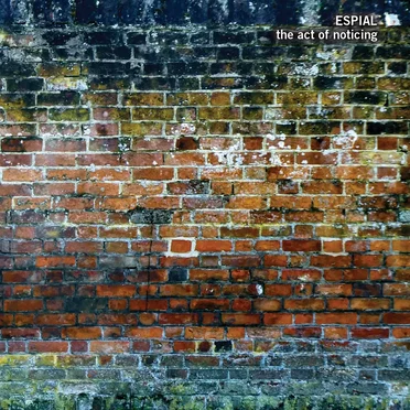 The Act Of Noticing - 172CD (2024) by Espial - album cover
