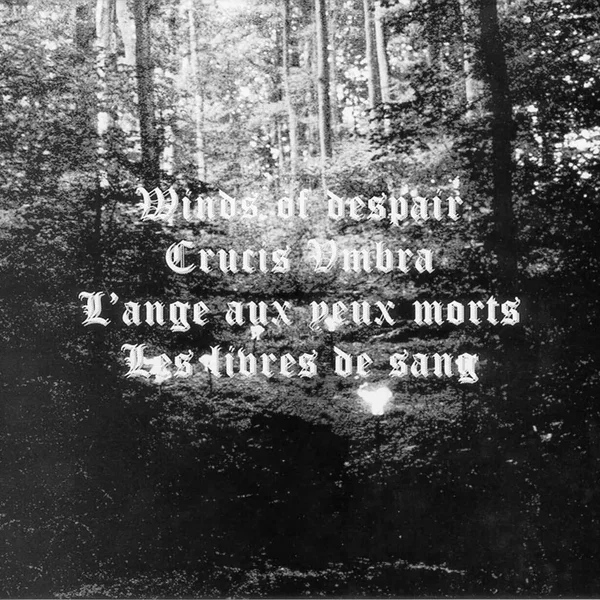 L'ombre de la croix