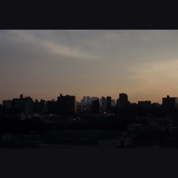 XII (2012)