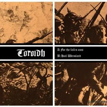 For the Fallen Ones by Toroidh - album cover