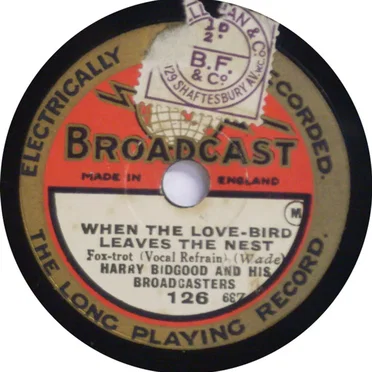 When the Love-Bird Leaves the Nest / Blue Skies