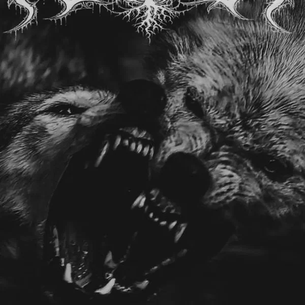 Where Wolves Once Dwelled