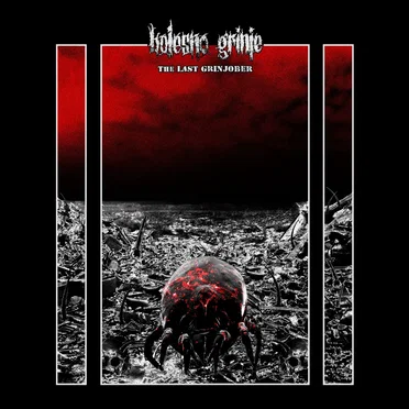 The Last Grinjober by Bolesno Grinje - album cover