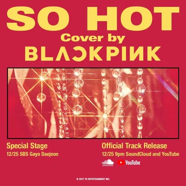 SO HOT (THEBLACKLABEL remix)