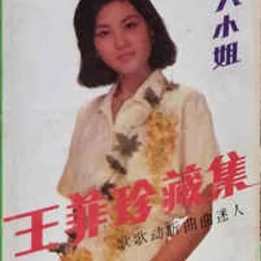 迷人小姐-王菲珍藏集