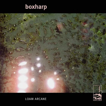 Loam Arcane