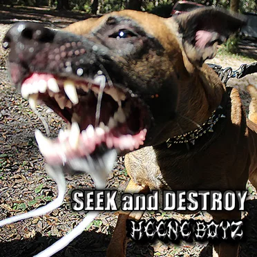 Seek and Destroy by Heene Boyz - album cover
