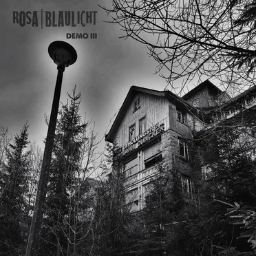 DEMO III by Rosa Blaulicht - album cover
