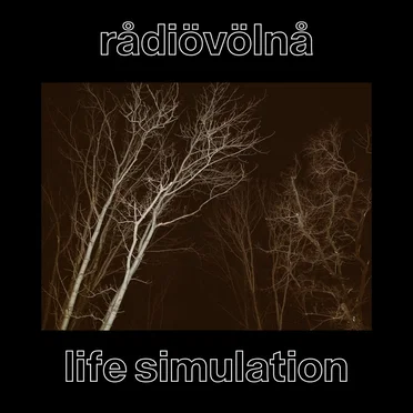 Life Simulation