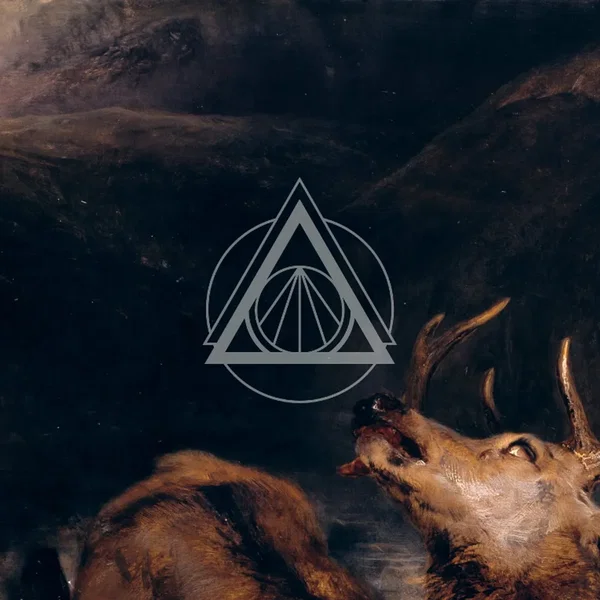 nnord ##02 - Anima(li)
